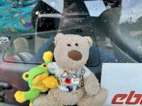 2. Tag – Von San Isidro de Grecia nach La Fortuna – Max hat einen neuen Freund