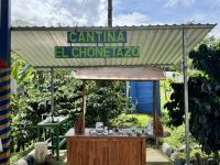 2. Tag – Von San Isidro de Grecia nach La Fortuna – Mittagessen und Führung auf einer Kaffeeplantage