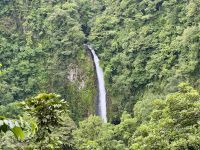 2. Tag – La Fortuna – Spaziergang zum La Fortuna-Wasserfall