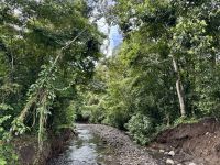 2. Tag – La Fortuna – Auf Faultier-Suche bei La Fortuna