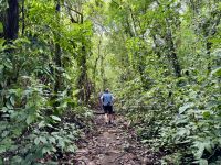 2. Tag – La Fortuna – Auf Faultier-Suche bei La Fortuna