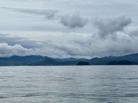 5. Tag – Delfinbeobachtung ab Samara – Blick zur Pazifikküste von Costa Rica bei Samara