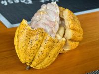 7. Tag – Besuch der Kaffeeplantage Lluvia de Gloria – Kakaofrucht