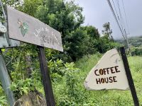 7. Tag – Besuch der Kaffeeplantage Lluvia de Gloria