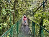 8. Tag – Monteverde – Hängebrückenwanderung durch den Nebelwald