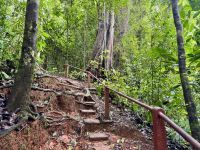 10. Tag – Von Osa nach Drake Bay – Kleine Wanderung zum Cocolito Beach