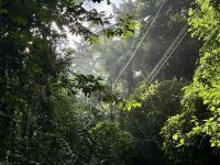 10. Tag – Von Osa nach Drake Bay – Kleine Wanderung zum Cocolito Beach