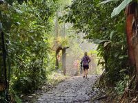 10. Tag – Von Osa nach Drake Bay – Kleine Wanderung zum Cocolito Beach