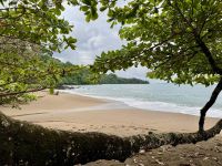 10. Tag – Von Osa nach Drake Bay – Kleine Wanderung zum Cocolito Beach