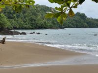 10. Tag – Von Osa nach Drake Bay – Kleine Wanderung zum Cocolito Beach