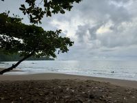 10. Tag – Von Osa nach Drake Bay – Kleine Wanderung zum Cocolito Beach