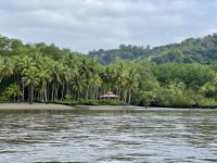 11. Tag – Erholung an der Drake Bay – Abfahrt zur Bootstour durch die Mangroven