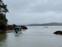 12. Tag – Hotel Águila de Osa & Drake Bay – Aufbruch zur 2. Walbeobachtung