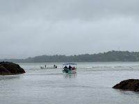 12. Tag – Hotel Águila de Osa & Drake Bay – Aufbruch zur 2. Walbeobachtung