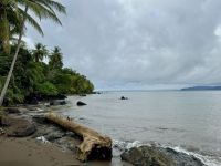 12. Tag – Hotel Águila de Osa & Drake Bay – Spaziergang zum Aussichtspunkt von Drake Bay – Playa Colorada