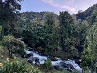 14. Tag – Im Tal von San Gerardo de Dota – Río Savegre