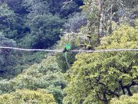 14. Tag – Im Tal von San Gerardo de Dota – Auf der Suche nach dem Göttervogel Quetzal