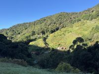 14. Tag – Im Tal von San Gerardo de Dota – Blauer Himmel und Sonne am Río Savegre