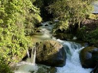 14. Tag – Im Tal von San Gerardo de Dota – Río Savegre