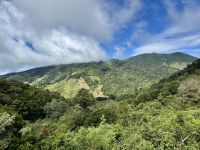 14. Tag – Im Tal von San Gerardo de Dota – Erste Wanderung durch den Hochgebirgs-Eichenwald zum Aussichtspunkt