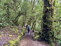 14. Tag – Im Tal von San Gerardo de Dota – Erste Wanderung durch den Hochgebirgs-Eichenwald zum Aussichtspunkt