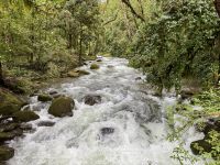 14. Tag – Im Tal von San Gerardo de Dota – Zweite Wanderung entlang des Río Savegre