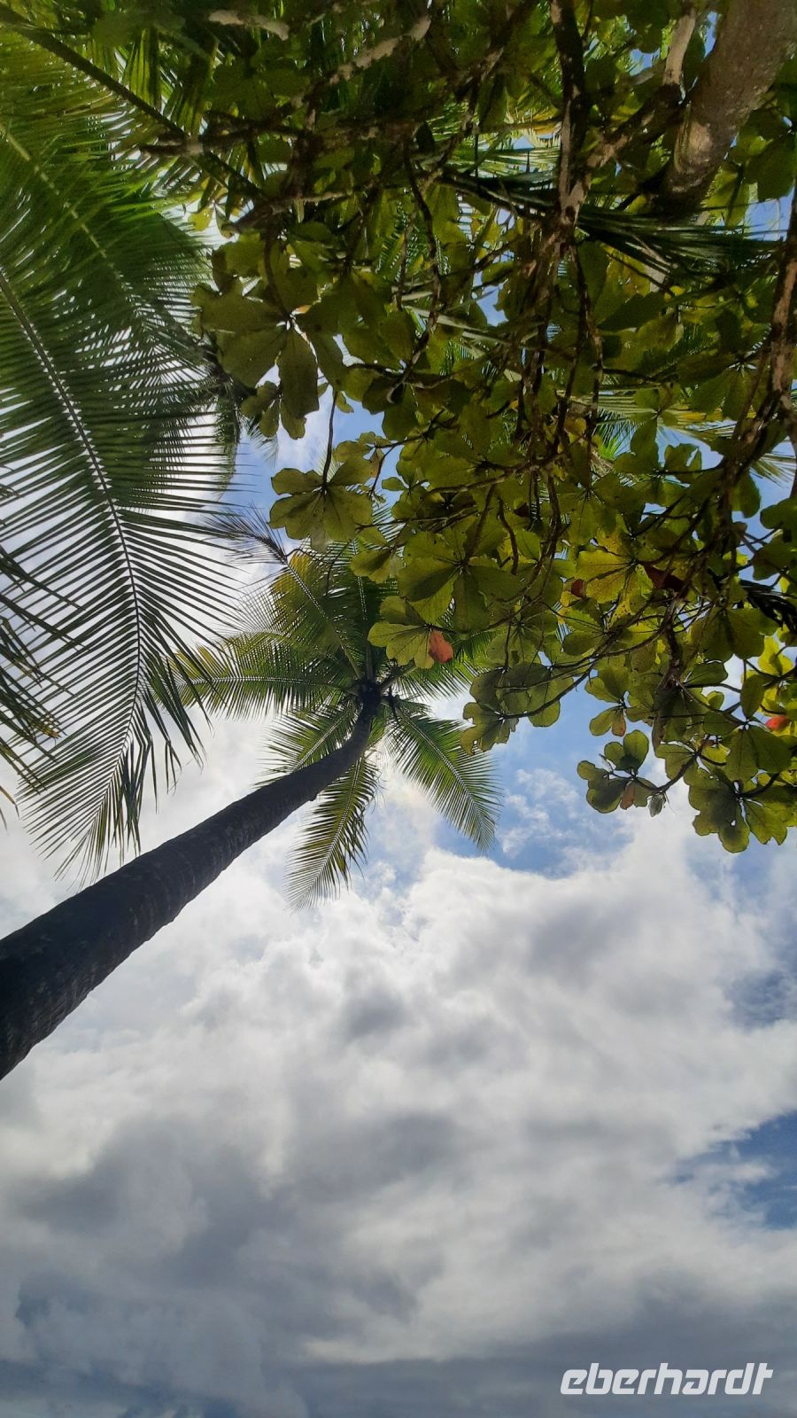 230 – Costa Rica, Corcovado-Nationalpark