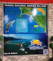 142 Auf zum Whale Watching