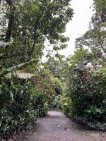 Wege der Arenal Oasis Eco Lodge
