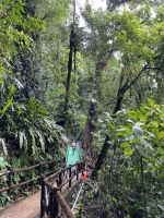 Weg zum Wasserfall La Fortuna