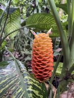 unterwegs auf den Wanderwegen des Hotels