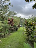 Im Garten des Hotels