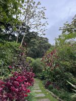 Weg des Hotels Poco a Poco