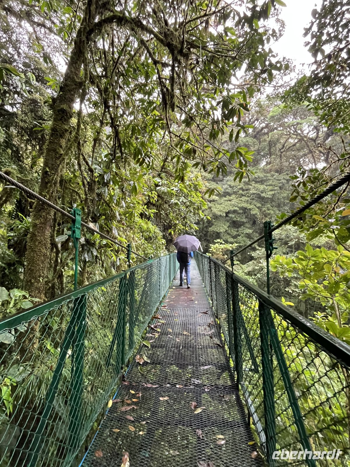 Hängebrückenwanderung