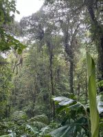 Hängebrückenwanderung