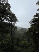 Nebelwaldgebiet Monteverde