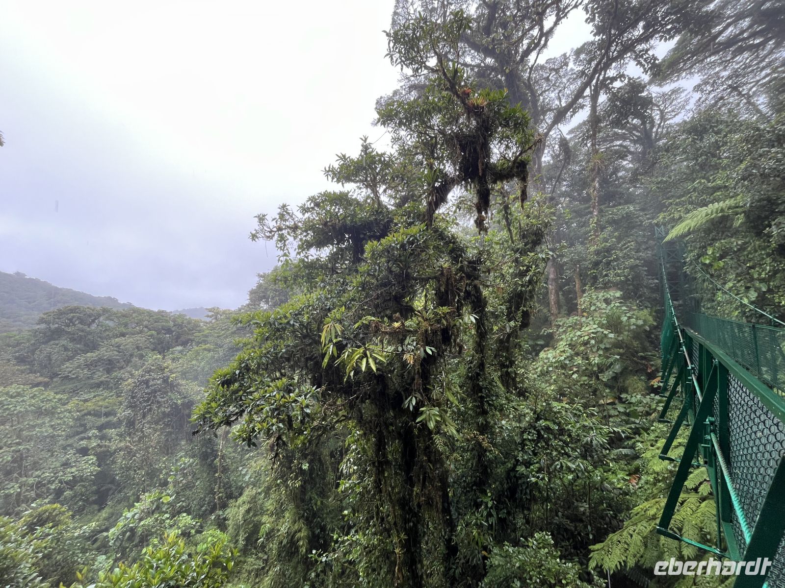 Hängebrückenwanderung