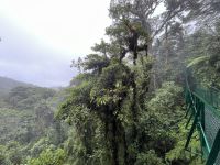 Hängebrückenwanderung