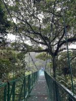 Hängebrückenwanderung