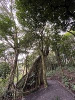 Spazierweg Nachbarhotel