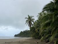 Strand Cusinga Lodge