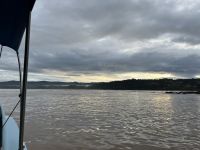 Bootsfahrt entlang der Küste zum Corcovado-Nationalpark