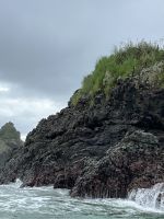 Nistplätze der Braunen Tölpel