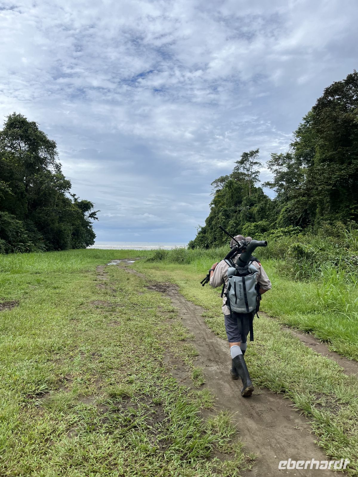 im Corcovado-Nationalpark