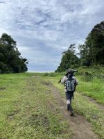 im Corcovado-Nationalpark