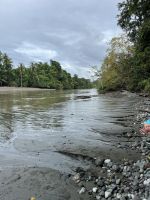 Serena-Flussmündung im Corcovado-Nationalpark