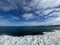 Bootsfahrt zu Insel Caño