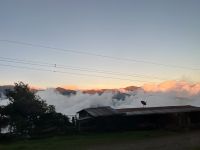 Pass am Cerro de la Muerte in 3300 Meter Höhe