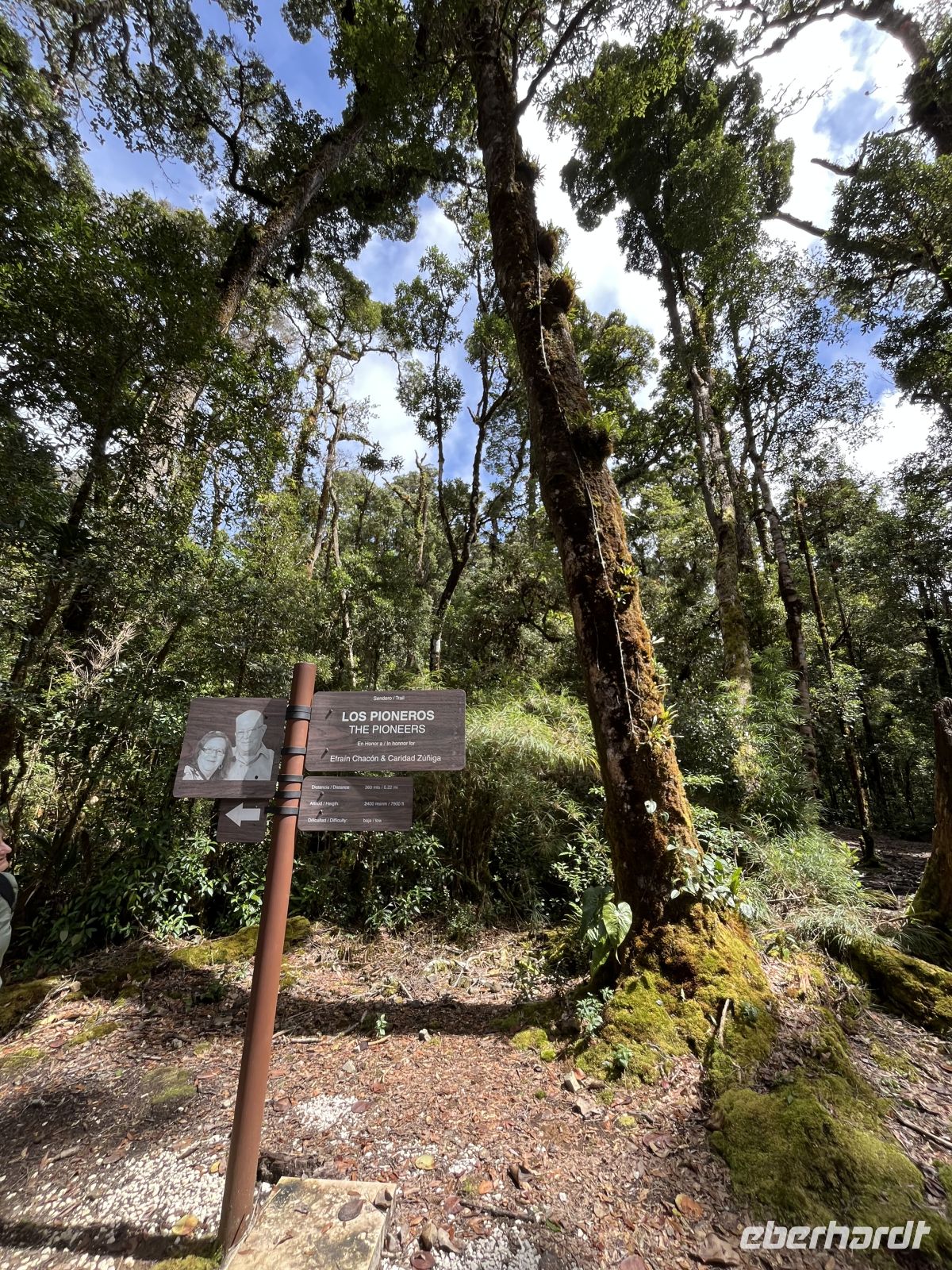 unterwegs im Berg-Eichenwald