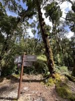 unterwegs im Berg-Eichenwald